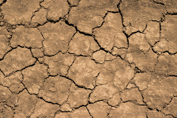 Cracks on dried soil as texture or background