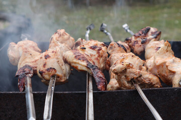 Cooking shish kebab in nature: chicken meat on skewers against the background of smoke, close-up