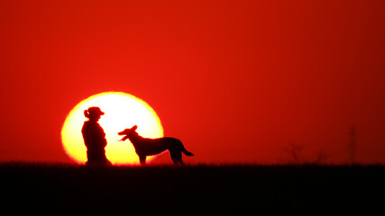 A girl sits on the grass, lovingly watching her dog at sunset. The shape of their silhouette is visible.