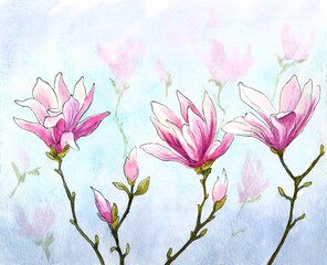 watercolor and ink magnolia twigs with flowers and buds natural background