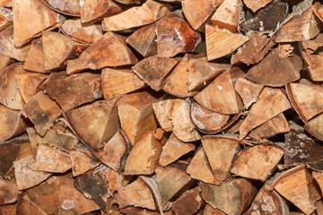 Pinned birch wood are in a pile in drevenice