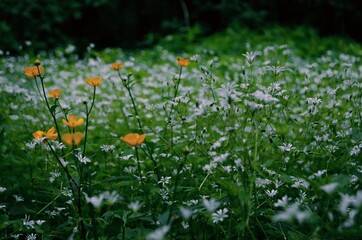 Processed with VSCO with c1 preset