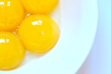 Bright yellow chicken eggs yolks in the white bowl . Macro Close up