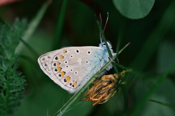 Processed with VSCO with g3 preset