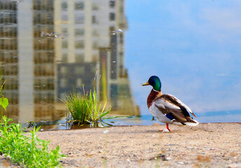 {"subsource":"done_button","uid":"9939EE4E-3076-4900-8448-609451609448_1590952663619","source":"editor","origin":"gallery","source_sid":"9939EE4E-3076-4900-8448-609451609448_1591215461255"}