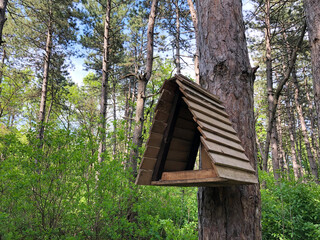 wooden triangular brown birdhouse on high tree in green forest. Taking care and feeding of birds. Nature protection concept