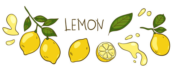 Obraz premium Lemon vector elements and lettering set. The inscription 