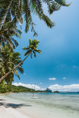 Palm trees of Corong Corong beach with traditional boats and blue sky in El Nido, Palawan island, Philippines. Vertical view.
