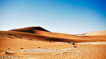 Fototapeta na wymiar Namib Sand Sea and Sossusvlei with dead trees