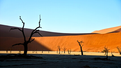 Namib Sand Sea and Sossusvlei with dead trees