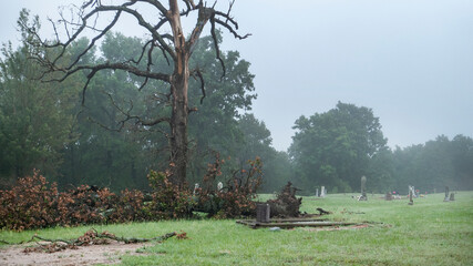Obraz premium A tree is down and another dead tree dominates the landscape at an old, sparsely populated cemetery in rural Oklahoma. Tombstones in the background are tilted from time.