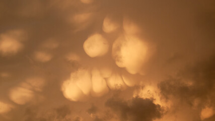 mammatus clouds appear in the sky. Eerie sky with a golden or orange color right before a thunderstorm.