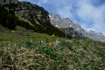 Kanton Glarus in der Schweiz im Mai 2020