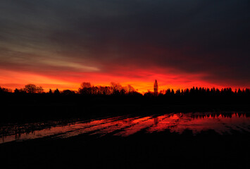 Farmland Twilight Dawn. Sunrise over a flooded farm field.

