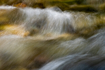 Misty creek in the morning