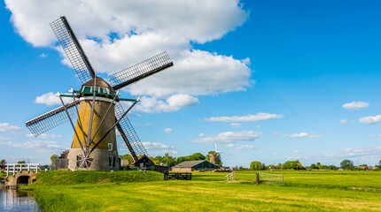 Fototapeta premium Dutch farmland in Oud-Alblas nearby Kinderdijk with traditional windmills on a sunny spring day