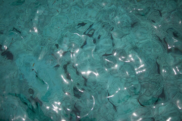 Shoal of dark fish in maldivian lagoon seen from above through turquoise water