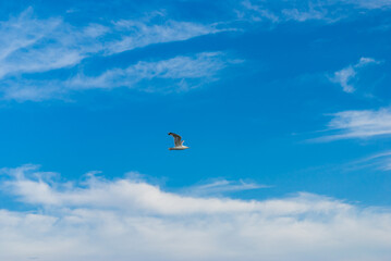 Blue sky with light clouds.