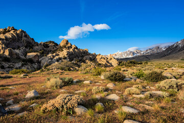 Fototapeta na wymiar white cloud hangs in blue sky above rocky desert plain mountain meadow with native plants blooming with tiny white wildflowers to distant snowy peaks