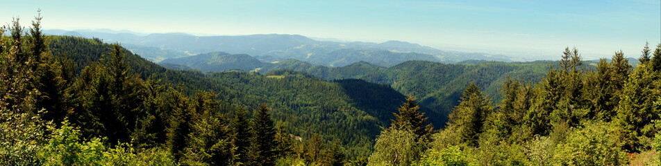 Fototapeta na wymiar weites Panorama vom Aussichtspunkt am Schliffkopf im Schwarzwald über bewaldete Berge an sonnigem Tag