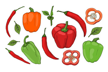 Vector set with red, green, orange pepper. Isolated fresh pepper, paprika, chilli with stems, leaves, seeds, whole and sliced. Summer harvest. For template, cards, menu, dietary brochures, spices.