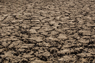 Land as a background of drought