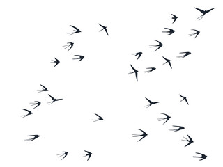 Flying swallow birds silhouettes vector illustration. Migratory martlets group isolated on white. 