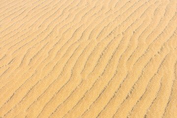 Sand Dune Close Up Texture
