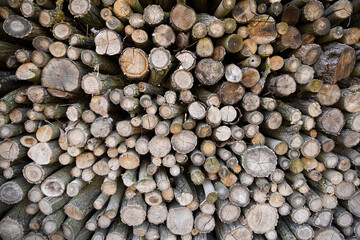 Timber, wood wallpaper, nature. A pile of firewood nearby. Finished firewood for the fireplace. Forest winter and firewood background