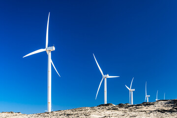 Wind Turbines Generating Renewable, Clean and Green Energy in Northeast Brazil, Ceará State