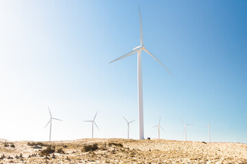 Wind Turbines Generating Renewable, Clean and Green Energy in Northeast Brazil, Ceará State