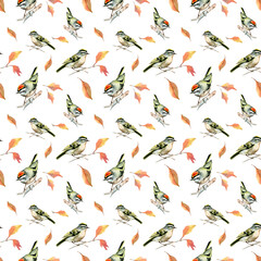 Illustration seamless pattern with goldcrest birds