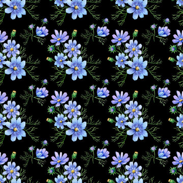 illustration seamless pattern with blue flowers of cosmea