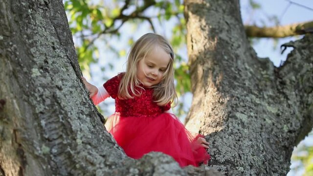 SLOW MOTION Happy cute blond little girl in red dress touch the tree