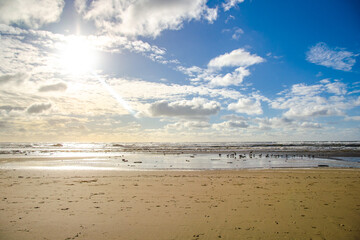 Ocean view from the beach in San Gregorio, California
