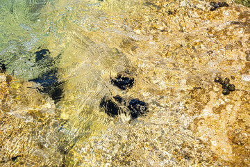 Sea water ripples texture on a sunny rocky shore