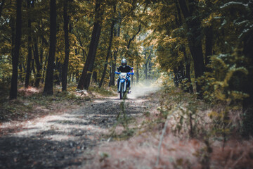 Obraz premium A motorcyclist rides in the woods