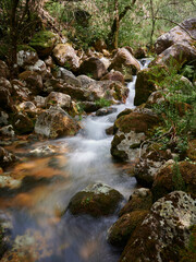 Fototapeta premium Waterfall in the woods at Mata de Albergaria, gerês