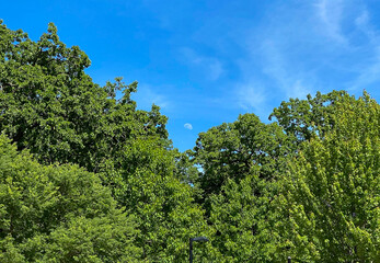 beautiful old church bright blue sky