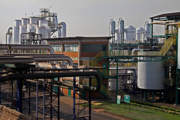 Naklejka premium sugar cane and ethanol plant
