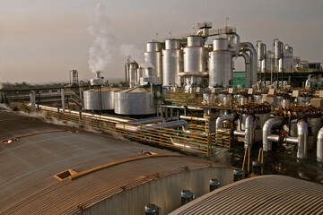 sugar cane and ethanol plant