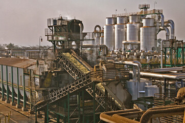 sugar cane and ethanol plant