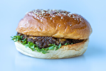 Homemade barbecue burger meat with fresh vegetables on white table.