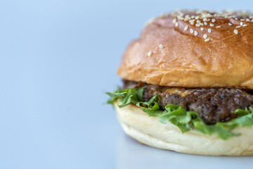 Homemade barbecue burger meat with fresh vegetables on white table.