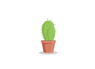 Isolated cactus against a white background in a brick red pot