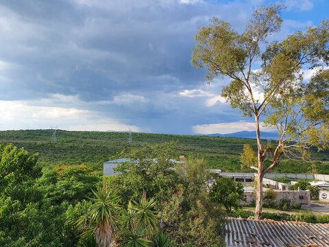 
Photo taken on a ranch at sunset, on a beautiful sunny and semi-cloudy day, in Queretaro, Mexico