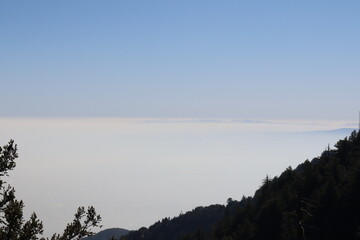 morning mist over lake