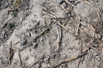 drought in Brazil