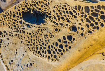 Rocky Formations at Bean Hollow Beach, California, USA
