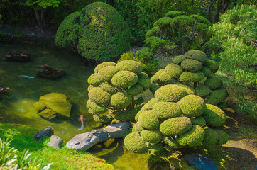 Japanese Tea Garden, Golden Gate Park, San Francisco, California, USA
